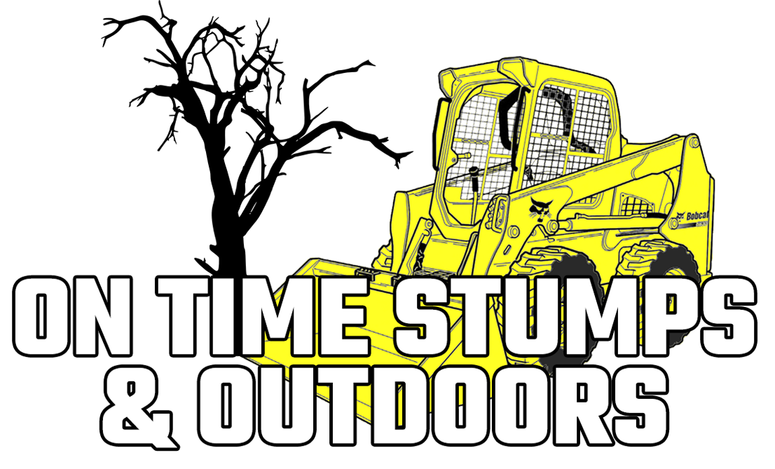 On Time Stumps